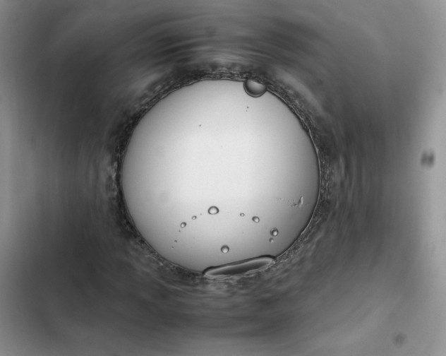 X0000102511013200808221812