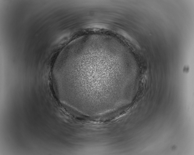 X0000102511014200808221812
