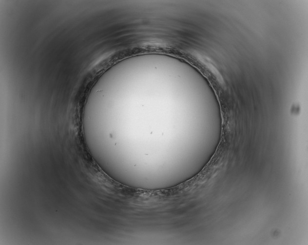 X0000102511015200808221812