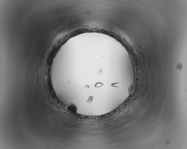 X0000102511016200808221812