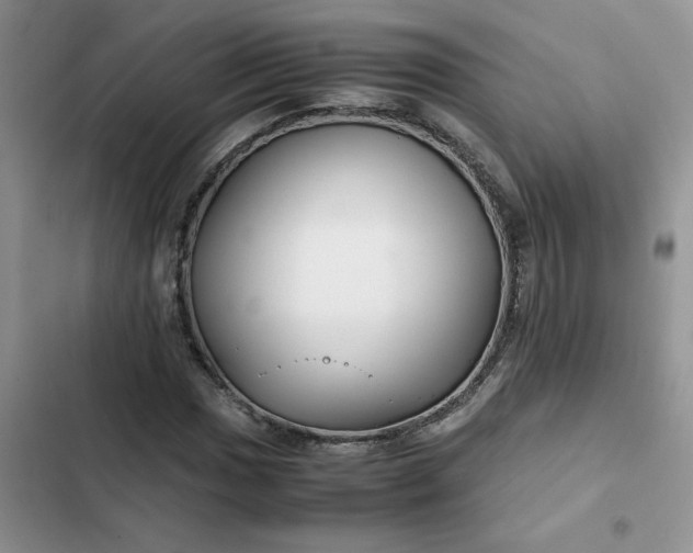 X0000102511017200808221812