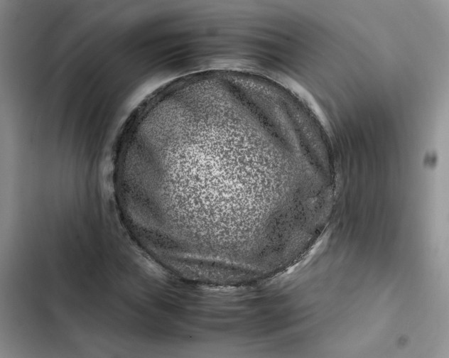 X0000102511019200808221812