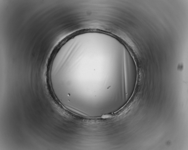 X0000102511020200808221812