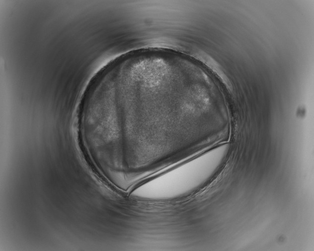 X0000102511024200808221812