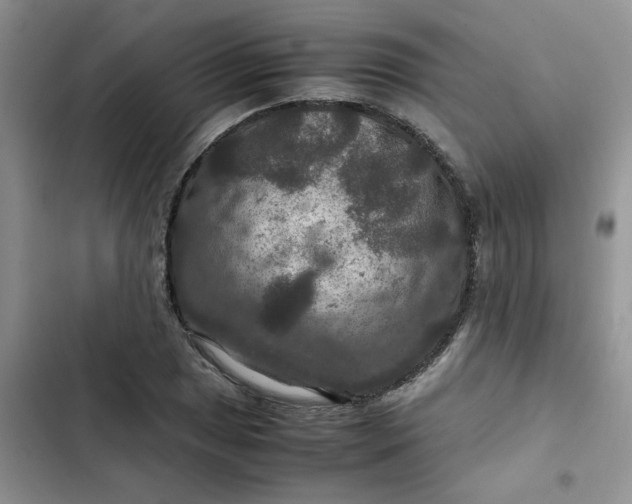 X0000102511025200808221812