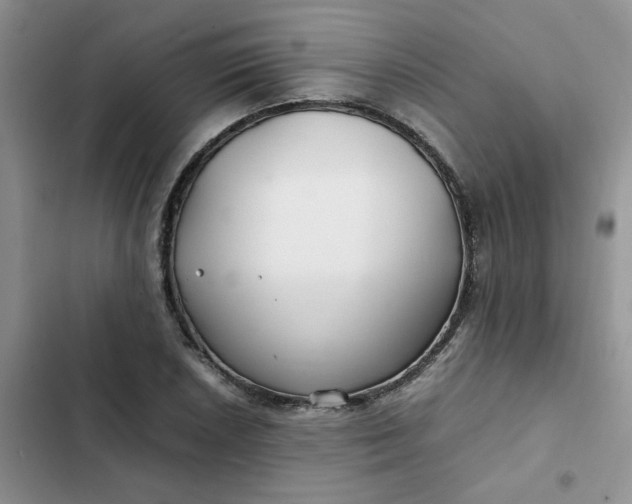 X0000102511026200808221812