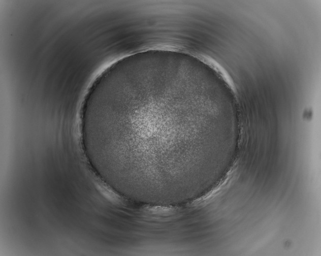 X0000102511027200808221812