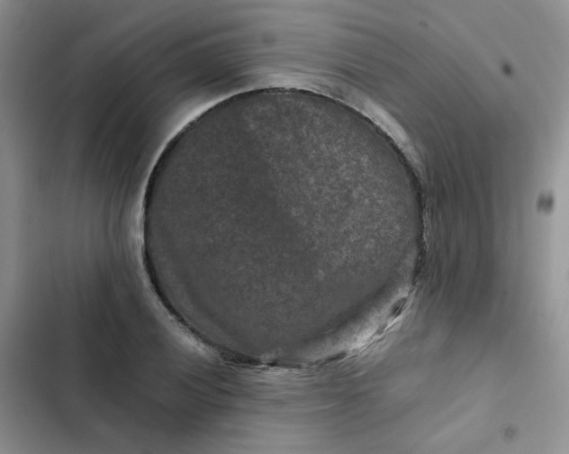 X0000102511028200808221812