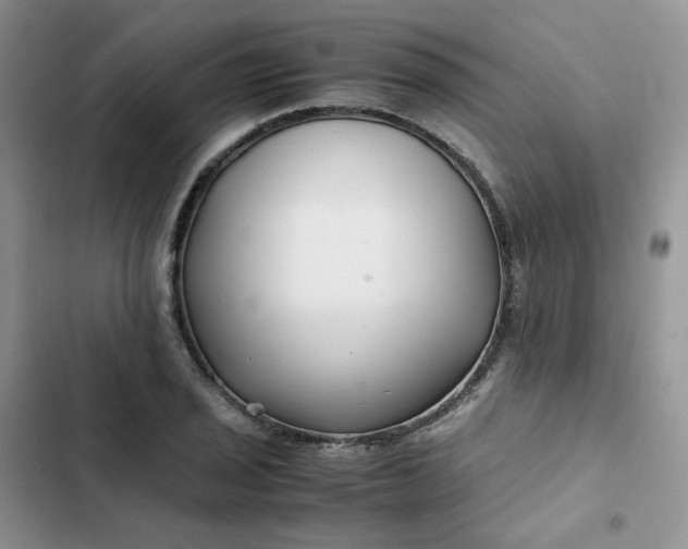 X0000102511029200808221813