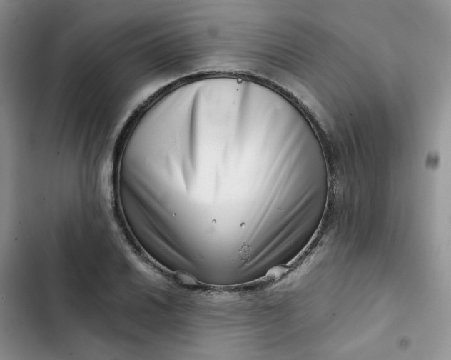 X0000102511030200808221813