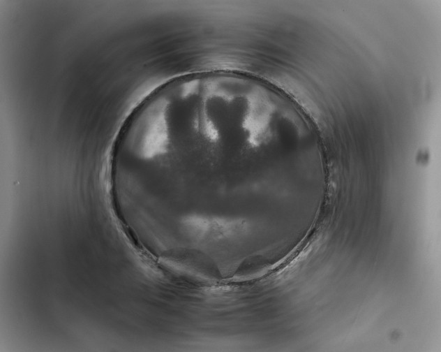 X0000102511031200808221813