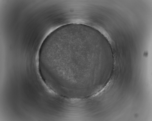 X0000102511032200808221813