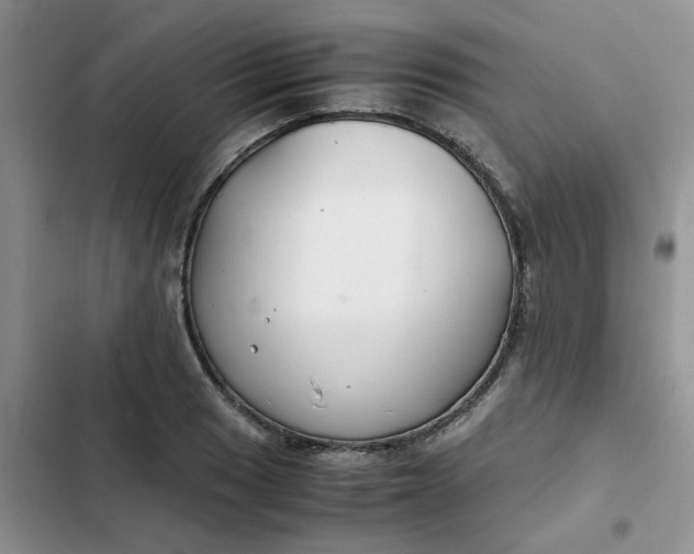X0000102511033200808221813