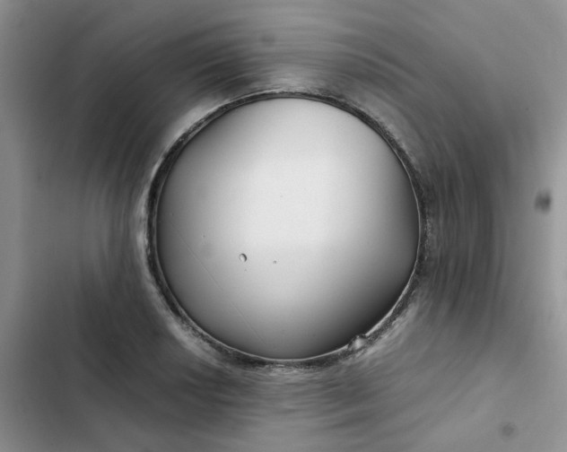 X0000102511034200808221813