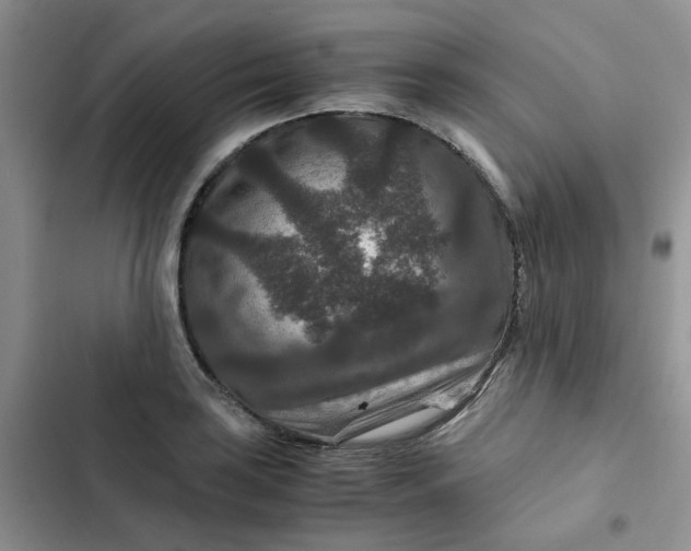 X0000102511035200808221813