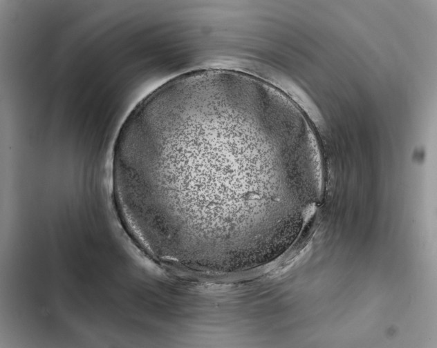 X0000102511036200808221813