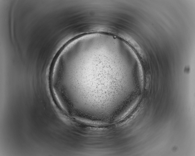 X0000102511039200808221813