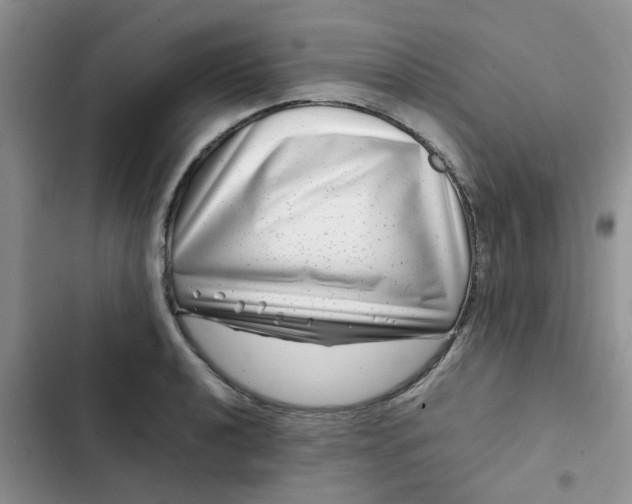 X0000102511040200808221813