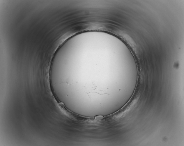 X0000102511041200808221813