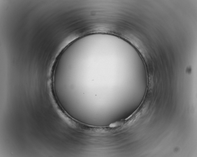 X0000102511042200808221813