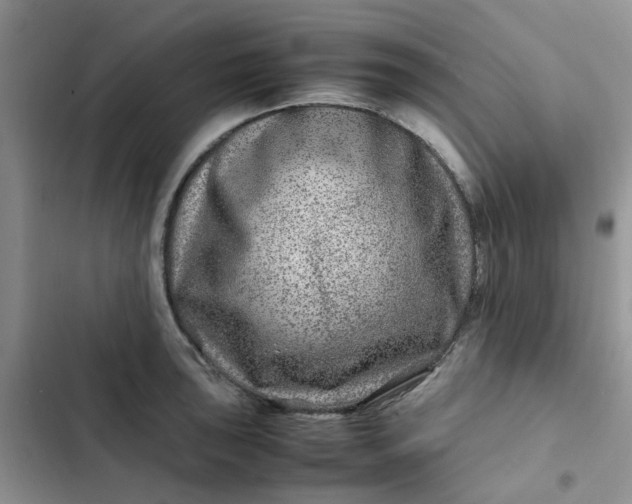 X0000102511043200808221813