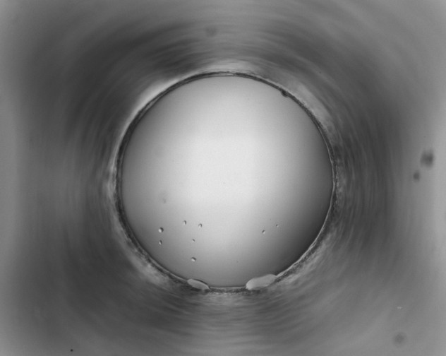 X0000102511044200808221813