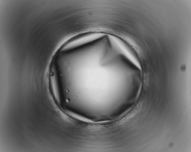 X0000102511046200808221813