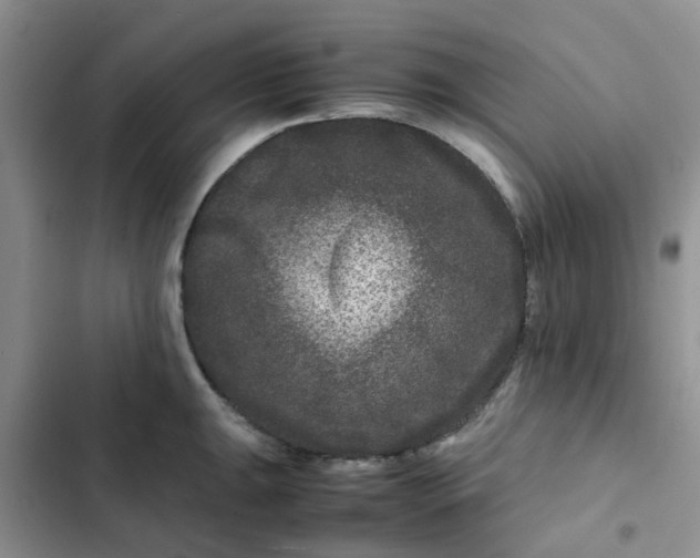 X0000102511047200808221813