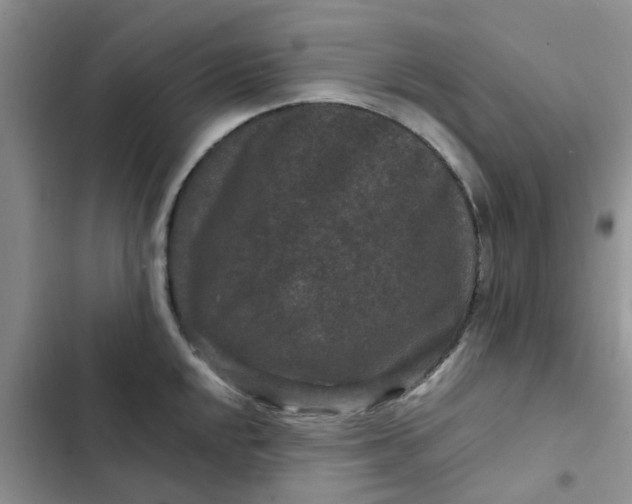 X0000102511048200808221813