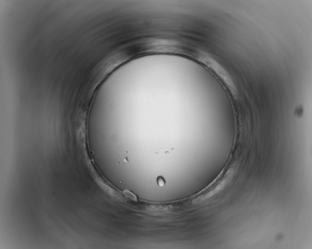 X0000102511049200808221813