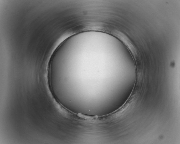 X0000102511050200808221813