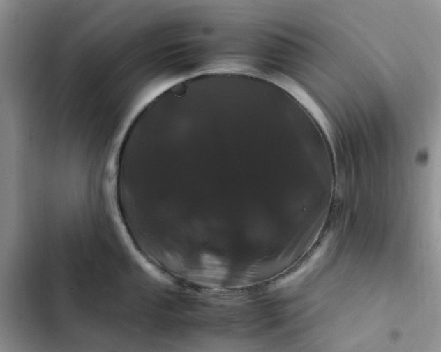 X0000102511053200808221813