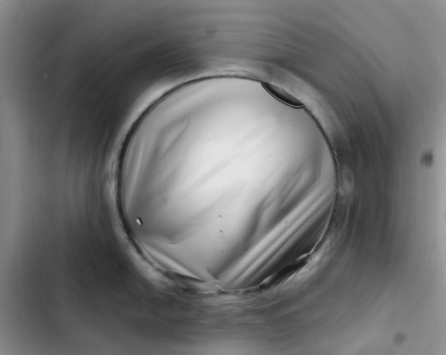 X0000102511054200808221813