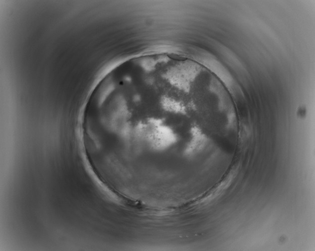 X0000102511055200808221813