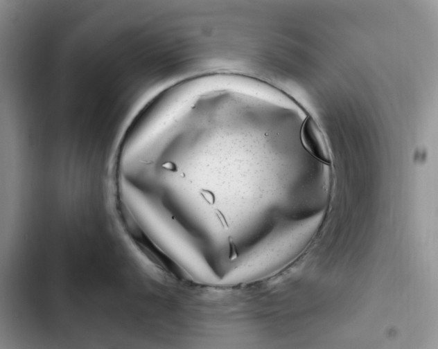 X0000102511056200808221813