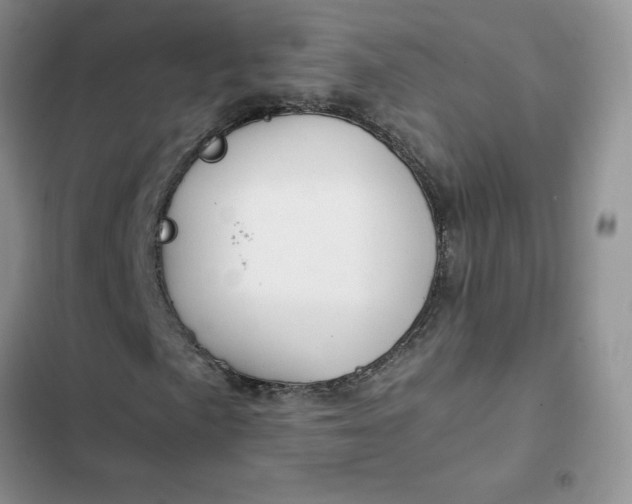X0000102511057200808221812