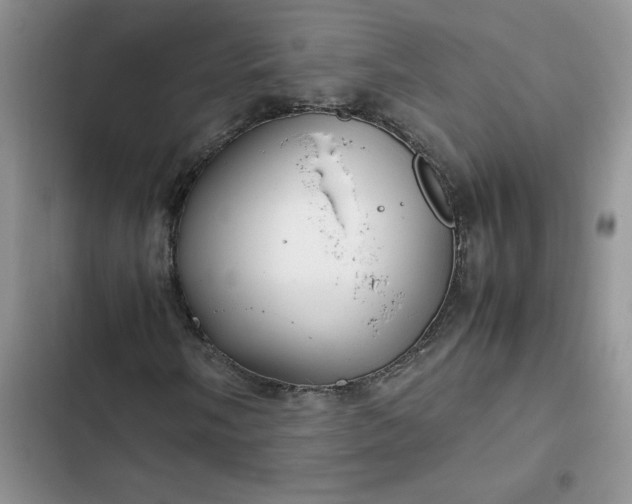 X0000102511058200808221812