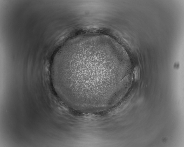 X0000102511059200808221812