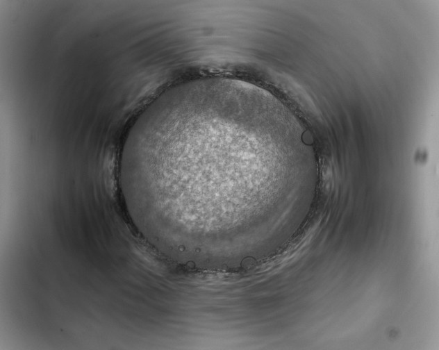 X0000102511060200808221812