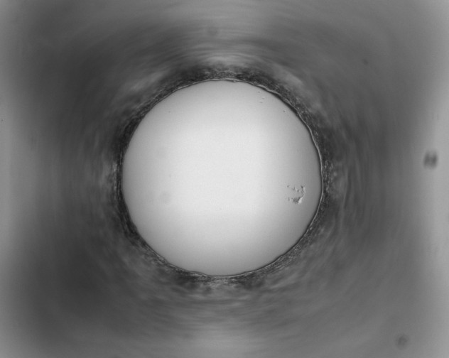 X0000102511061200808221812