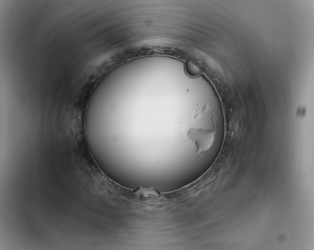 X0000102511062200808221812