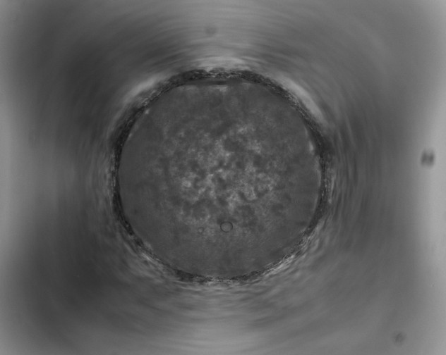 X0000102511063200808221812