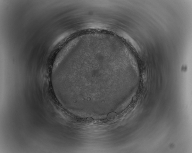 X0000102511064200808221812