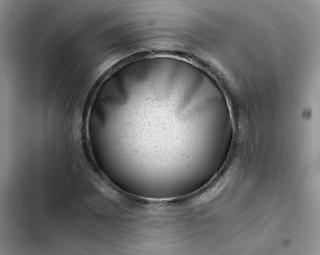 X0000102511065200808221812