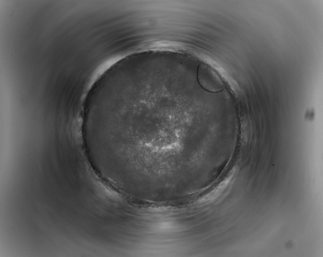 X0000102511066200808221812