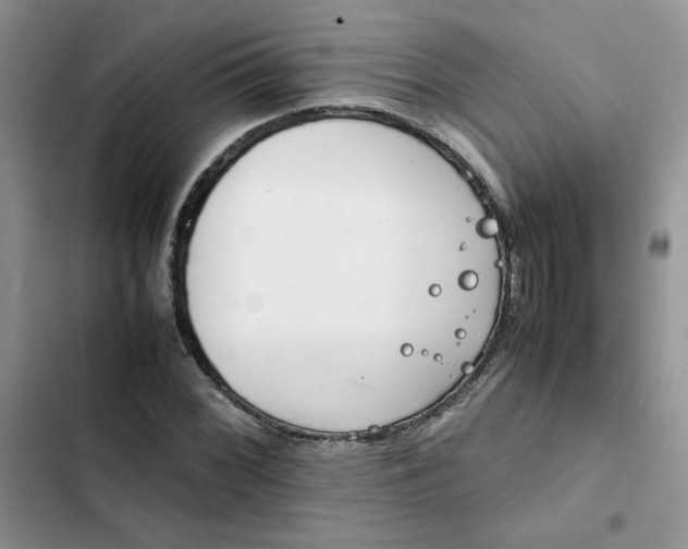 X0000102511068200808221812