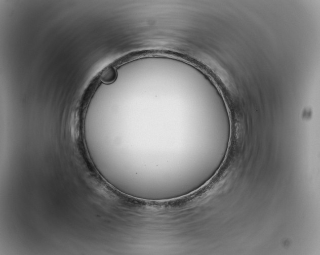 X0000102511069200808221812