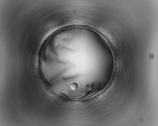 X0000102511070200808221812
