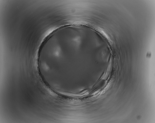 X0000102511071200808221812