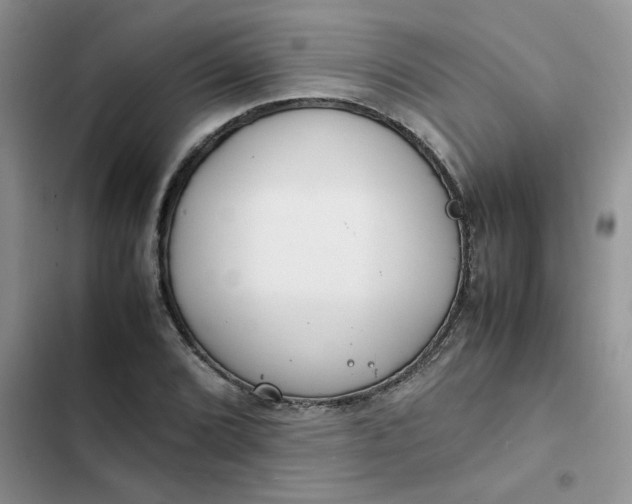X0000102511072200808221812